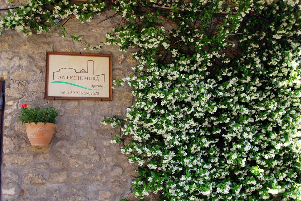 B&B Antiche Mura Tarquinia Bagian luar foto